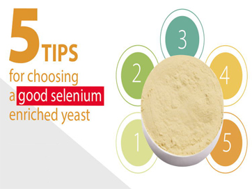 Can Selenium Yeast Cause Yeast Infections?